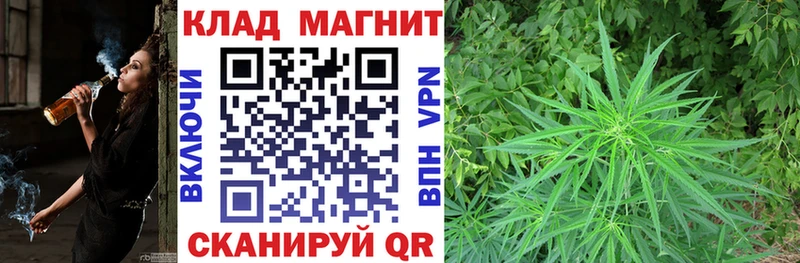 Купить закладку БУТИРАТ  Меф мяу мяу  COCAIN  APVP  Судогда