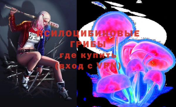таблы Белокуриха