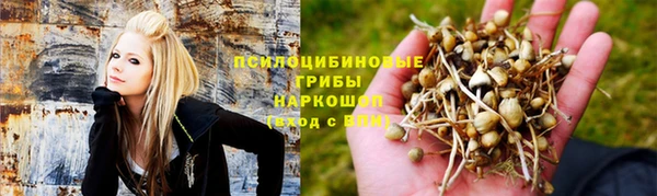 бошки Белоозёрский