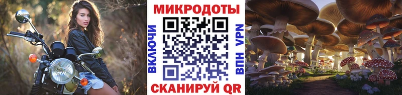 Купить закладки  Судогда  Псилоцибиновые грибы Cubensis 